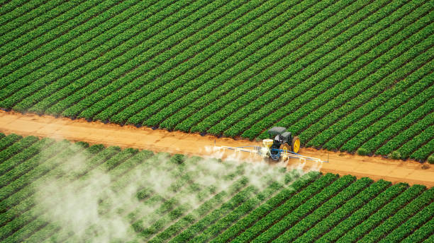 Professional Pest Control in Northlake, SC