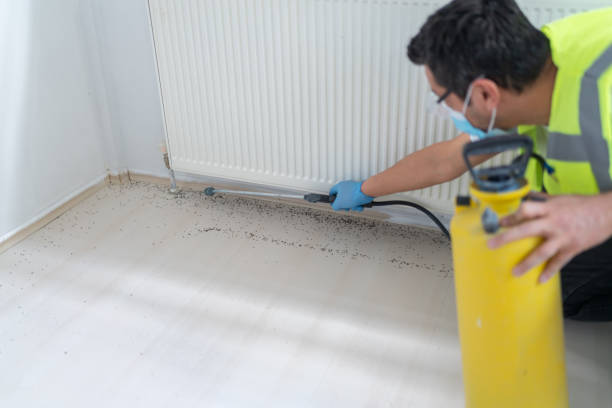 Best Pest Prevention Services  in Northlake, SC